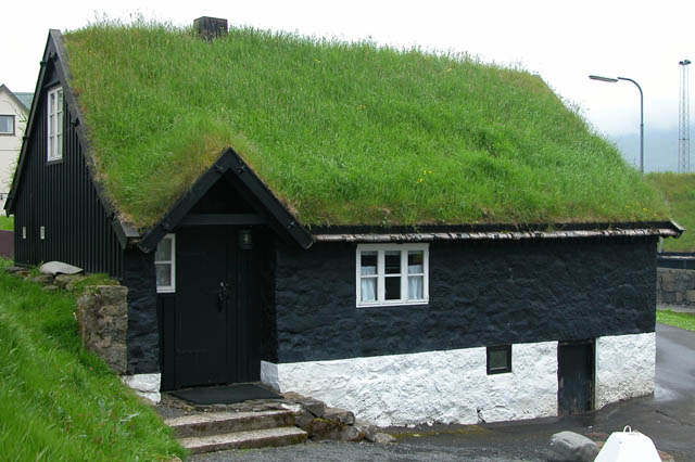 zielony dach
